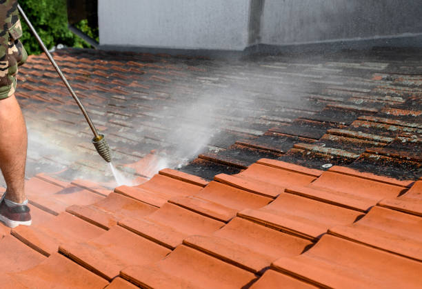 Best Local Pressure Washing Services  in Eddyville, KY